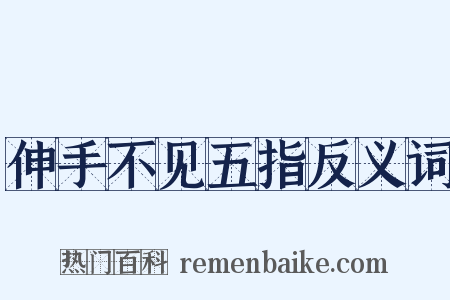 伸手不见五指反义词是什么意思的图片